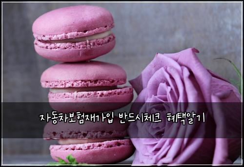 ์๋์ฐจ๋ณดํ์ฌ๊ฐ์
๋ฐ๋์์ฒดํฌ ํํ์๊ธฐ