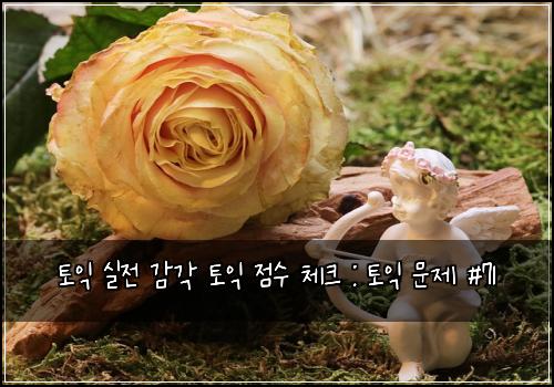 토익 실전 감각 토익 점수 체크 : 토익 문제 #71