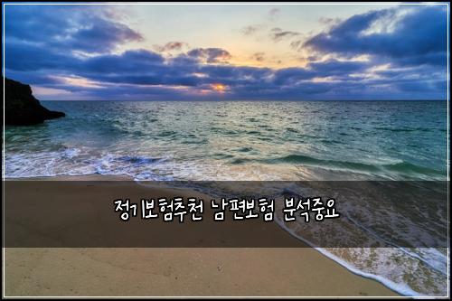 정기보험추천 남편보험 분석중요