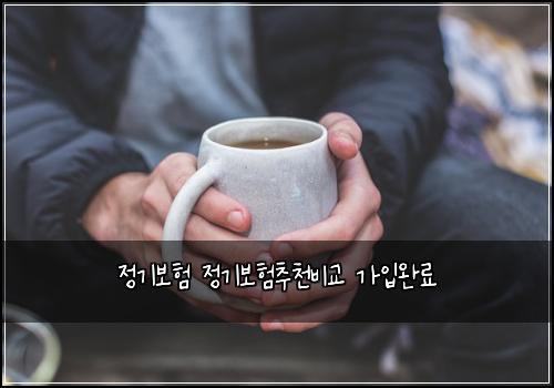 정기보험 정기보험추천비교 가입완료