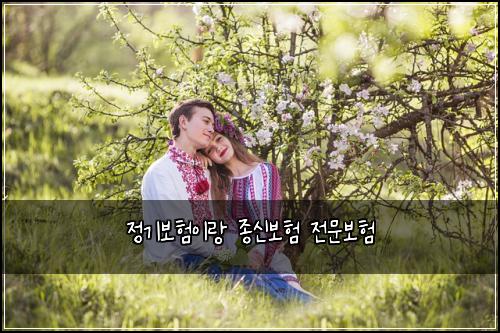 ์ ๊ธฐ๋ณดํ์ด๋ ์ข
์ ๋ณดํ ์ ๋ฌธ๋ณดํ