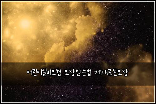 어린이실비보험 보장받는법  제대로된보장