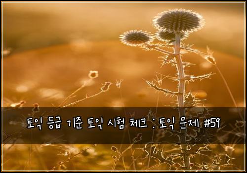 토익 등급 기준 토익 시험 체크 : 토익 문제 #59
