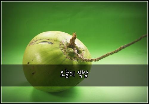 오늘의 색상