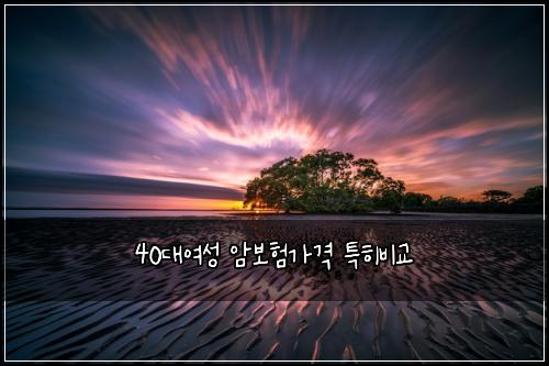 40대여성 암보험가격 특히비교