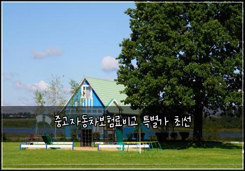 중고자동차보험료비교 특별가 최선