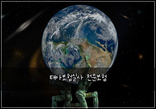 태아보험실사 전문보험