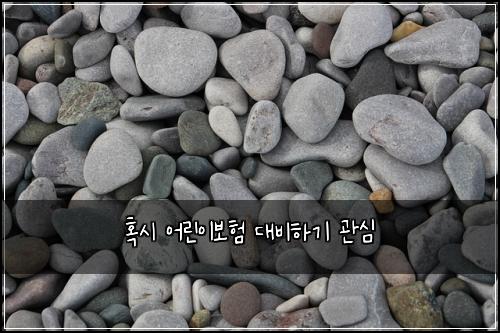 혹시 어린이보험 대비하기  관심
