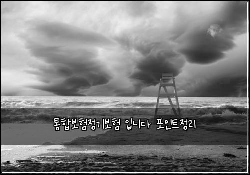 통합보험정기보험 입니다 포인트정리