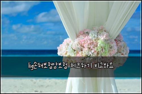 lig์ํด๋ณดํ์๋ณดํ ์ฒดํฌํ๊ธฐ ๋น๊ต๋ด์