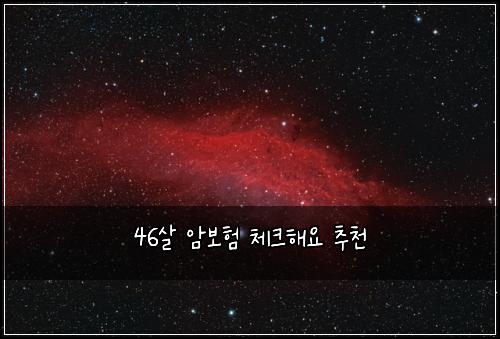 46μ΄ μ보ν 체ν¬ν΄μ μΆμ²