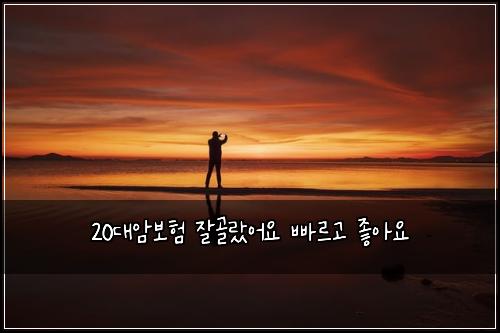 20대암보험 잘골랐어요  빠르고 좋아요