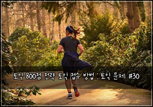 토익 800점 전략 토익 접수 방법 : 토익 문제 #30