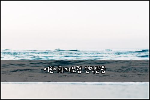 ์ด๋ฆฐ์ดํ์ ๋ณดํ ๊ฒฌ์ ๋ฐ์