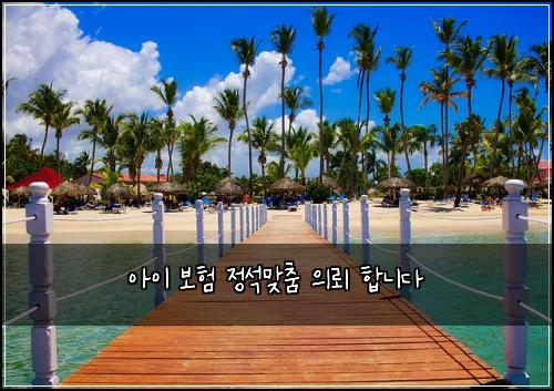 아이 보험 정석맞춤  의뢰 합니다