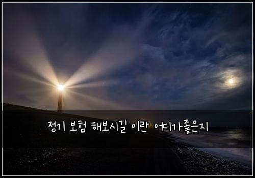 정기 보험 해보시길  이란 어디가좋은지