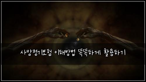 사망정기보험 이해방법  똑똑하게 활용하기