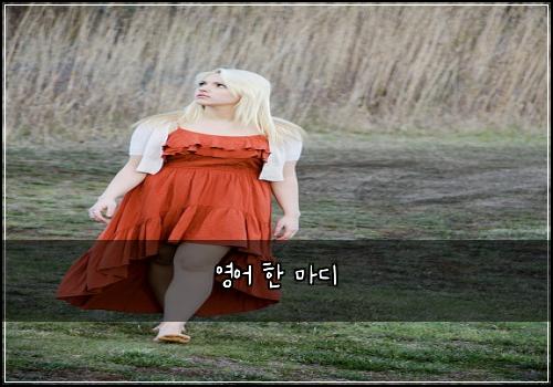 영어 한 마디