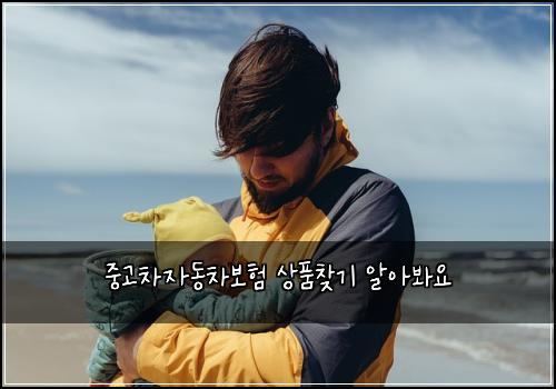 중고차자동차보험 상품찾기  알아봐요