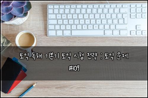 토익 독해 기본기 토익 시험 전략 : 토익 문제 #109