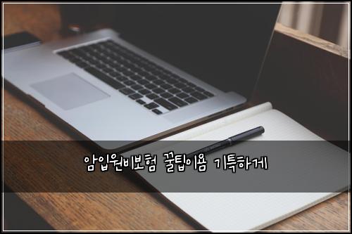 ์์
์๋น๋ณดํ ๊ฟํ์ด์ค ๊ธฐํนํ๊ฒ