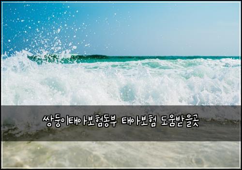 쌍둥이태아보험동부 태아보험 도움받을곳