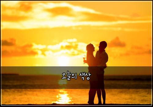 오늘의 색상