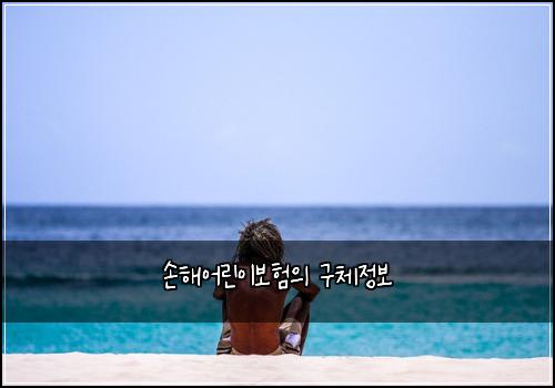 손해어린이보험의 구체정보