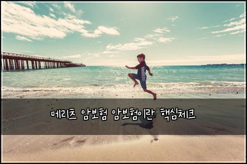 메리츠 암보험 암보험이란 핵심체크