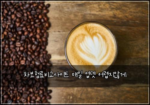 차보험료비교사이트 매일 업뎃 어렵지않게