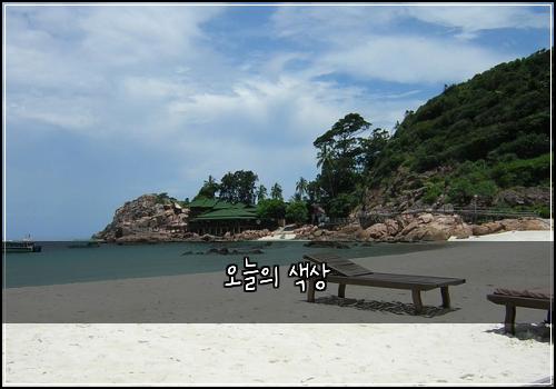 오늘의 색상