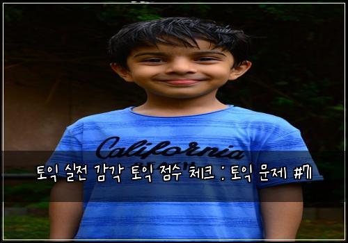 토익 실전 감각 토익 점수 체크 : 토익 문제 #71