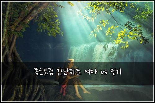 종신보험 간단하죠  여자 vs 정기