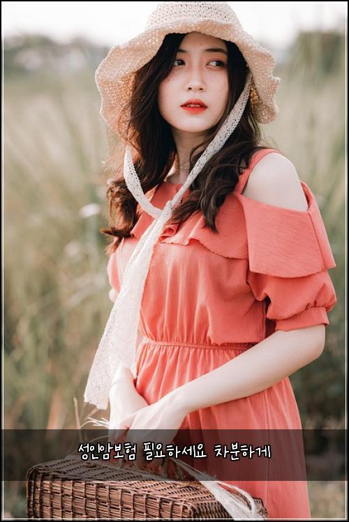 성인암보험 필요하세요  차분하게