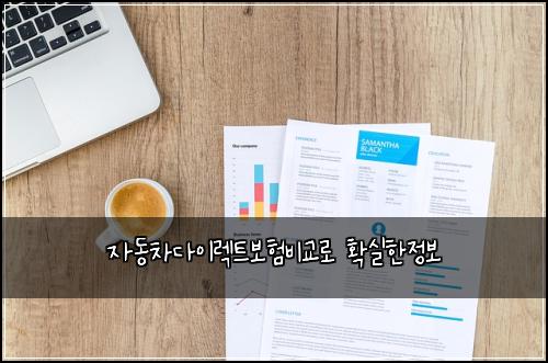 자동차다이렉트보험비교로 확실한정보