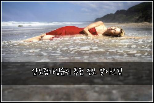 암보험가입순위 추천 정보 알아보깅