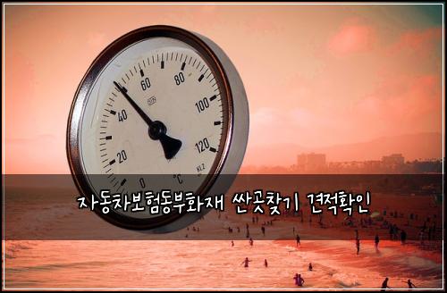자동차보험동부화재 싼곳찾기 견적확인