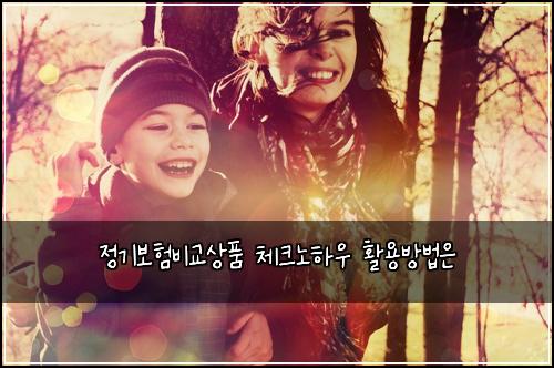 정기보험비교상품 체크노하우 활용방법은