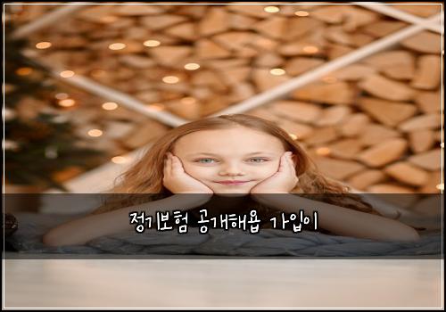 정기보험 공개해욥  가입이
