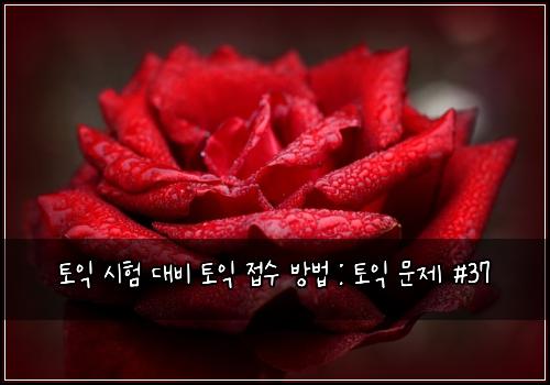 토익 시험 대비 토익 접수 방법 : 토익 문제 #37