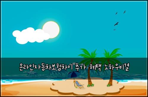 온라인자동차보험차이 추가 혜택 노하우비결