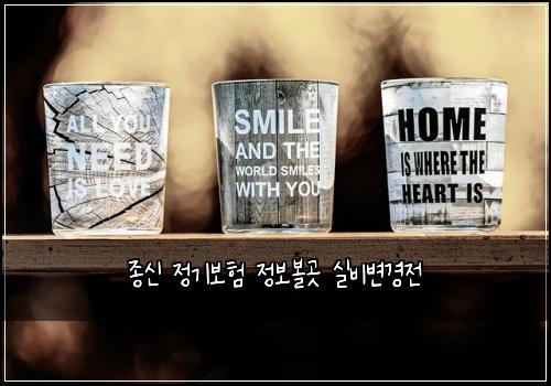 종신 정기보험 정보볼곳  실비변경전