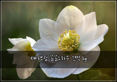 태아보험 꼼꼼노하우  견적 lig
