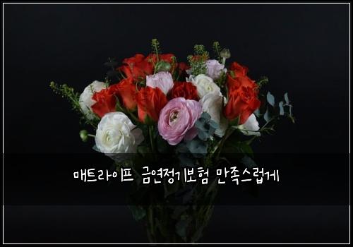 매트라이프 금연정기보험 만족스럽게 