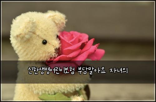 신한생명어린이보험 부담말아요  자녀의