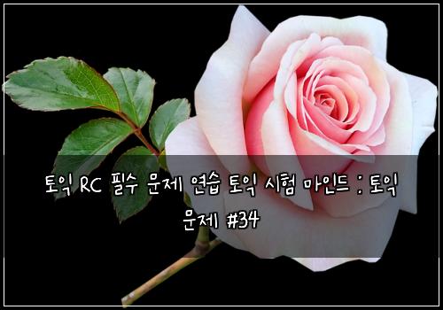 토익 RC 필수 문제 연습 토익 시험 마인드 : 토익 문제 #34