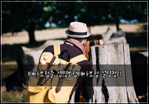 태아보험을 생명보험태아보험 설명정리