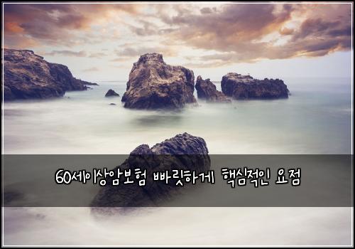 60세이상암보험 빠릿하게  핵심적인 요점
