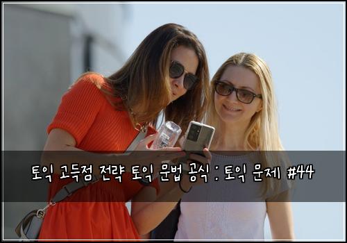 토익 고득점 전략 토익 문법 공식 : 토익 문제 #44