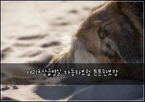 메리츠상급병실 자동차보험 튼튼한보장 